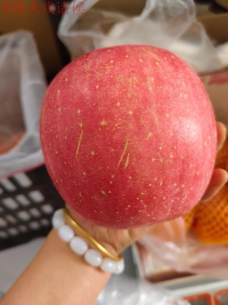 2026世界杯盘口苹果最佳